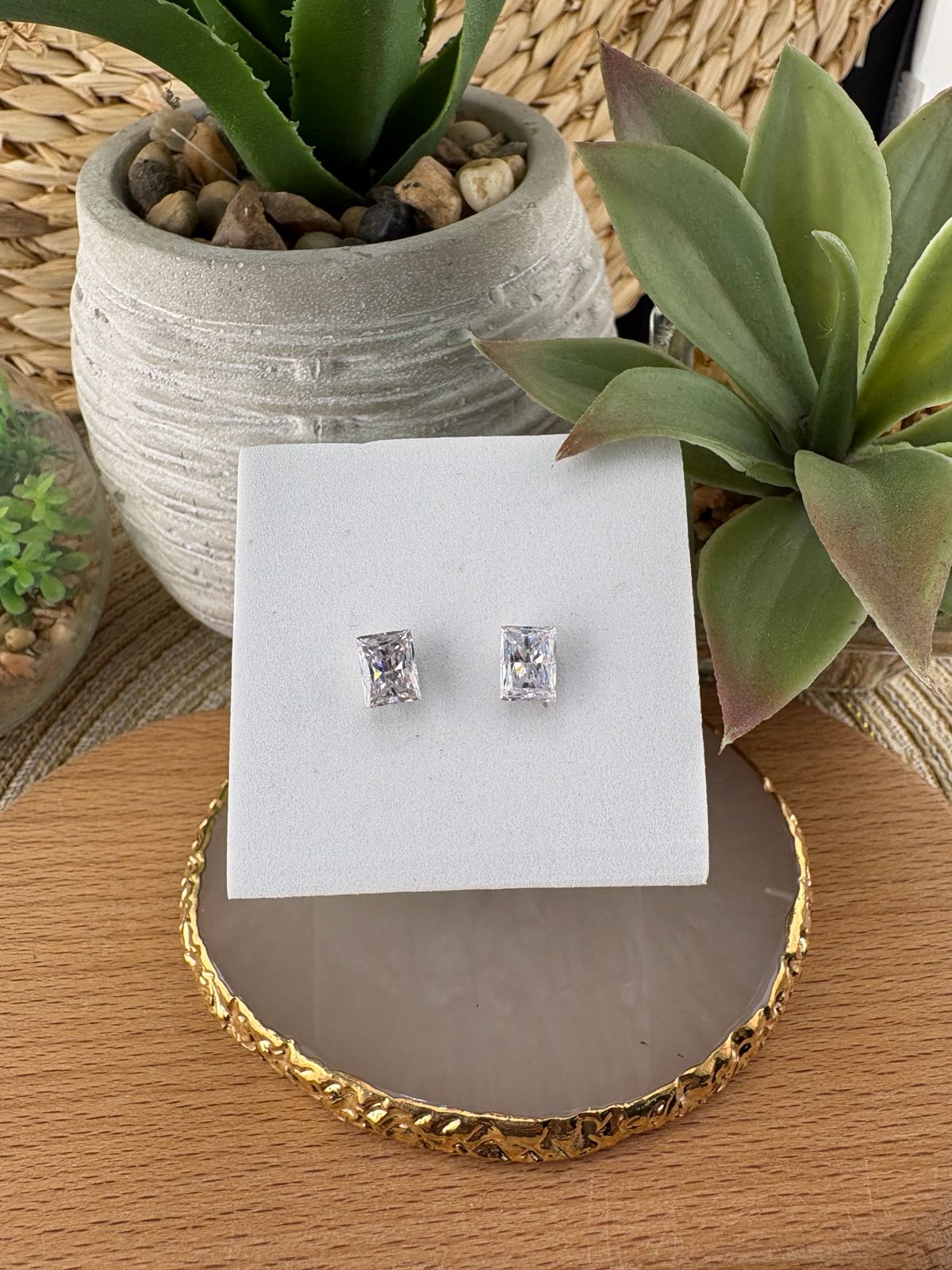 Stainless Steel Earrings #093