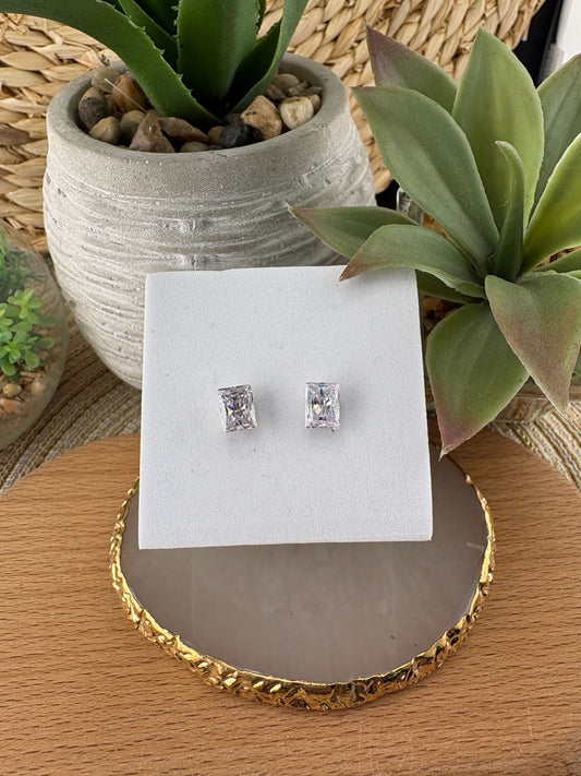 Stainless Steel Earrings #093