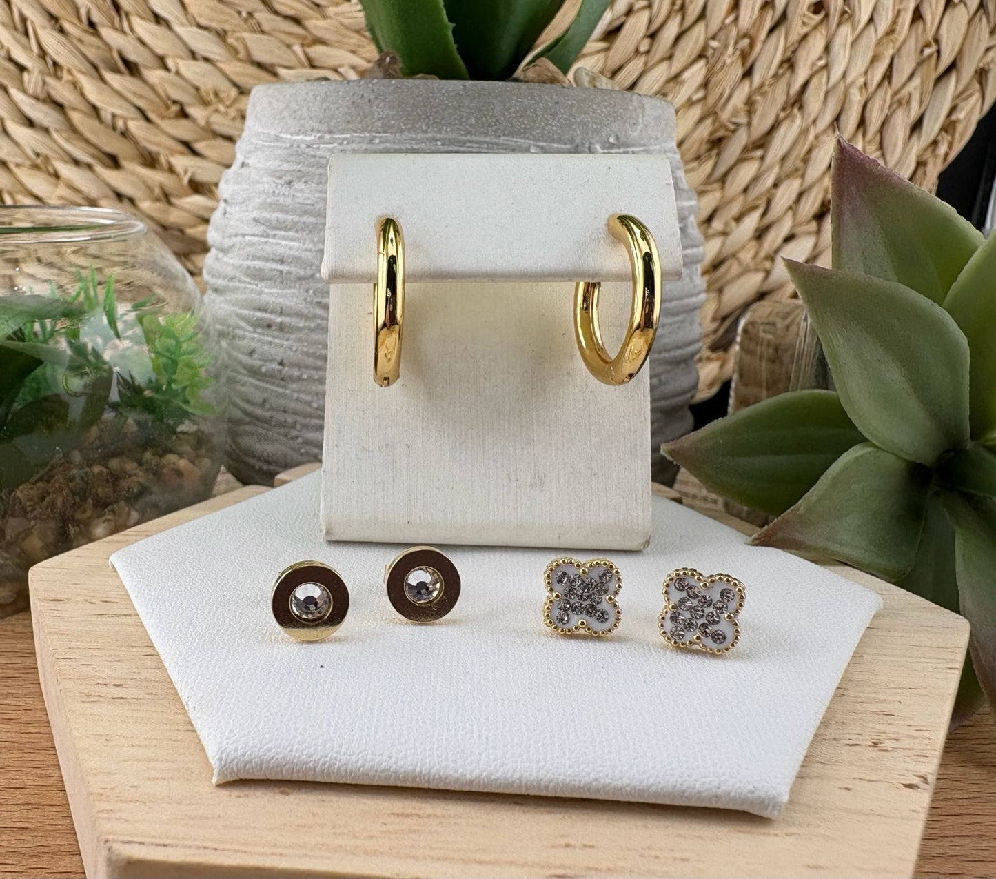 Stainless Steel Earrings #096