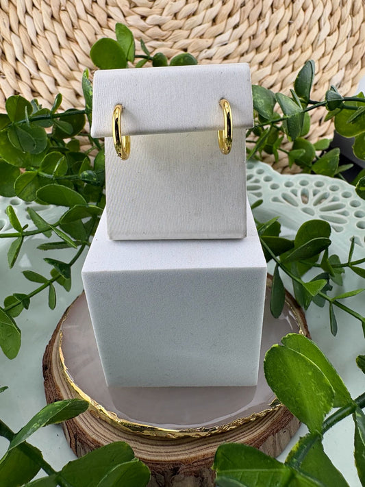 Stainless Steel Earrings #099