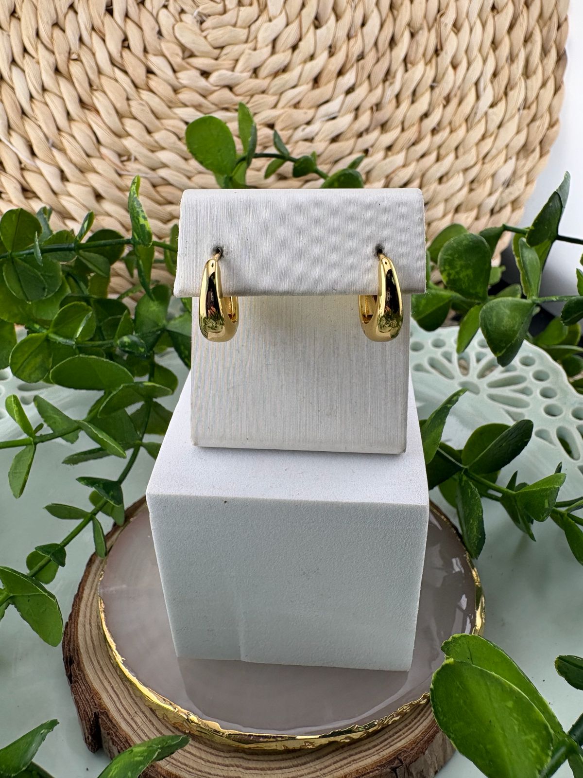 Stainless Steel Earrings #106