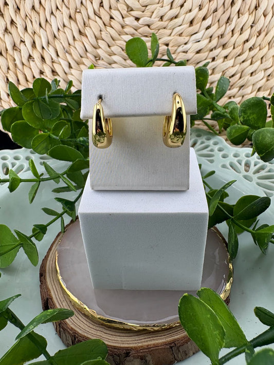 Stainless Steel Earrings #107