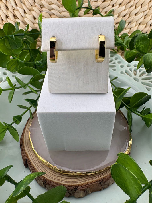 Stainless Steel Earrings #108
