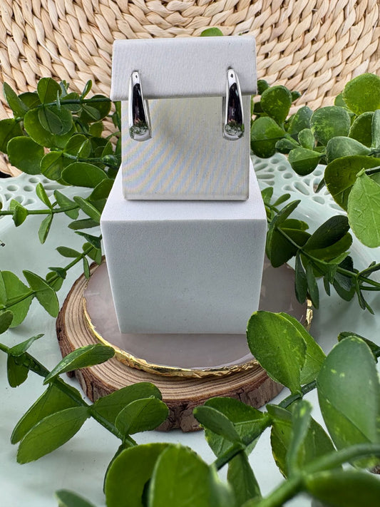 Stainless Steel Earrings #110