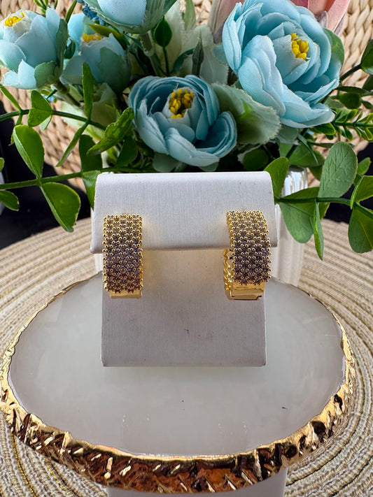 Stainless Steel Earrings #112
