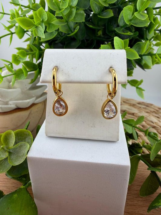 Stainless Steel Earrings #123