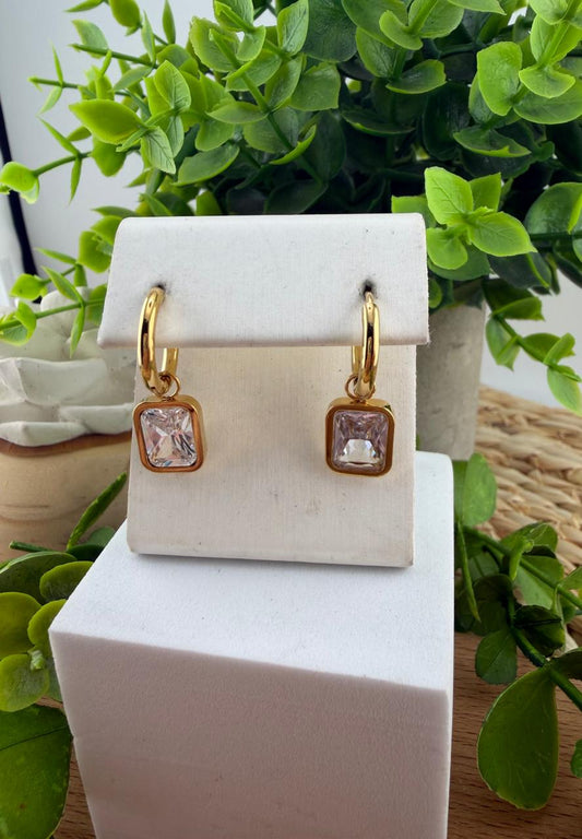 Stainless Steel Earrings #121