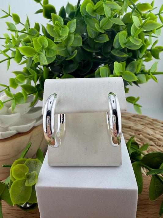 Stainless Steel Earrings #125