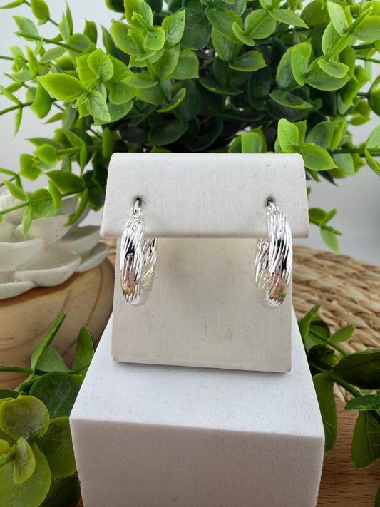 Stainless Steel Earrings #126