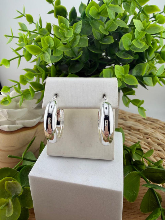 Stainless Steel Earrings #128