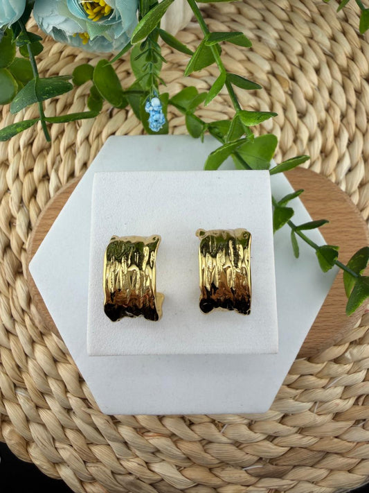 Stainless Steel Earrings #133