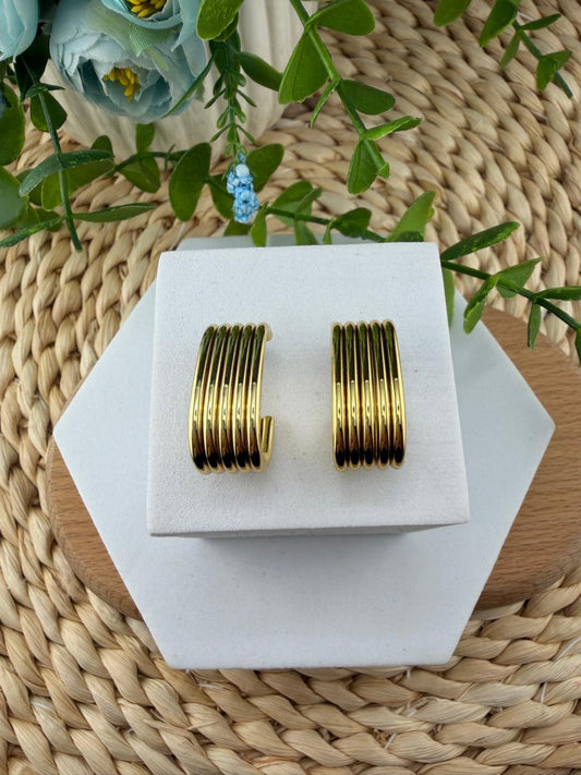 Stainless Steel Earrings #134