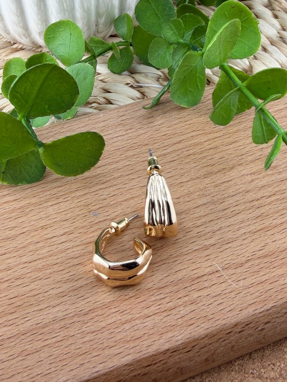 Stainless Steel Earrings #144