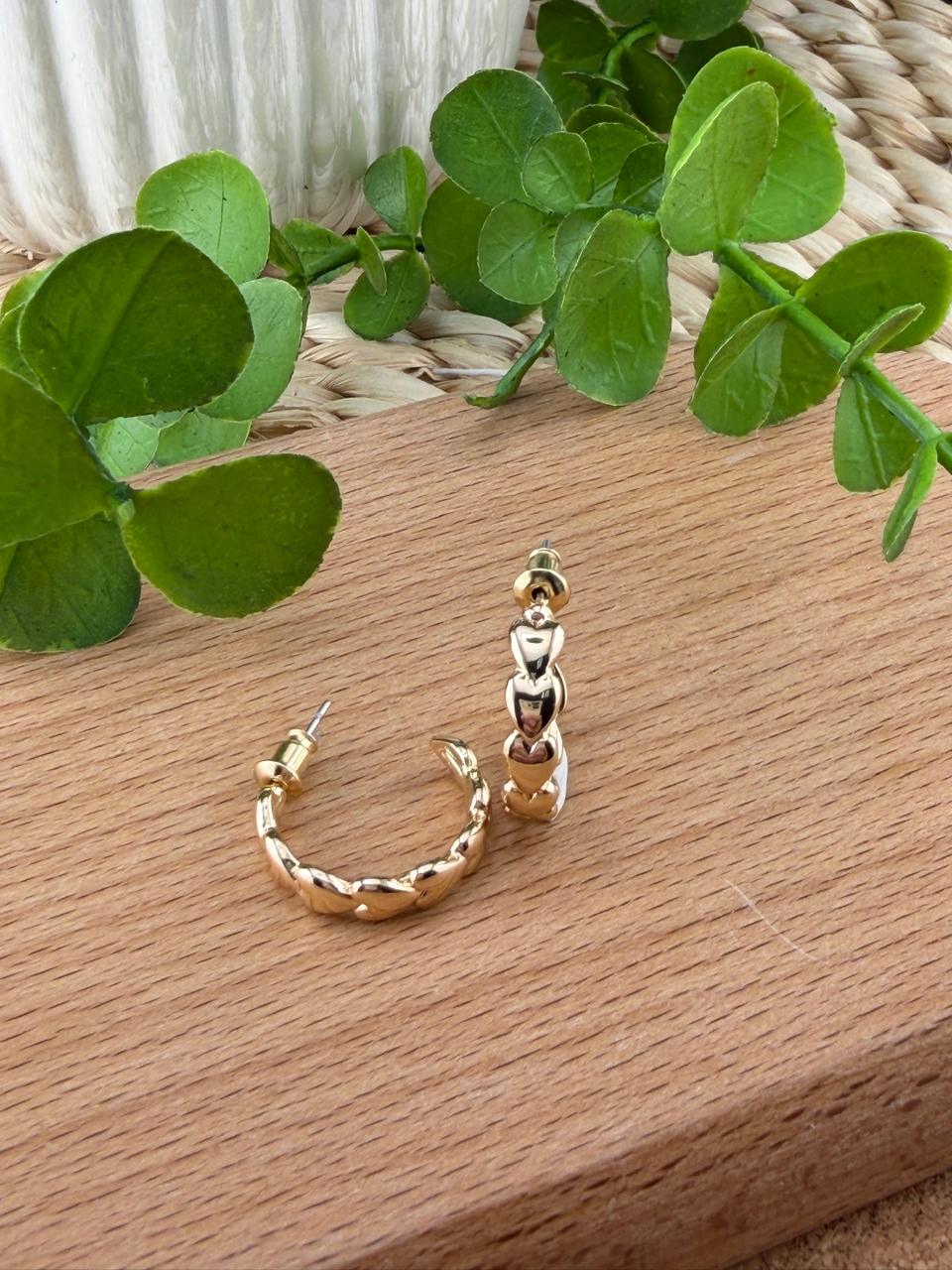 Stainless Steel Earrings #145