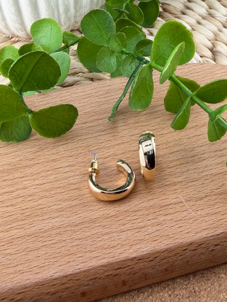 Stainless Steel Earrings #150
