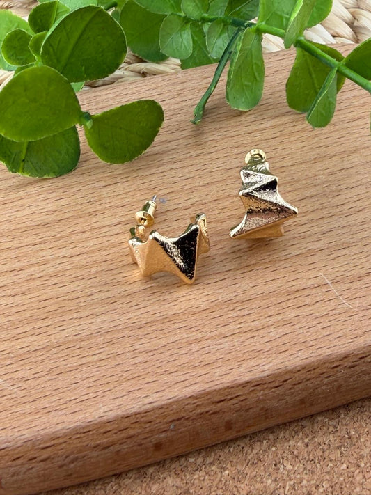 Stainless Steel Earrings #151