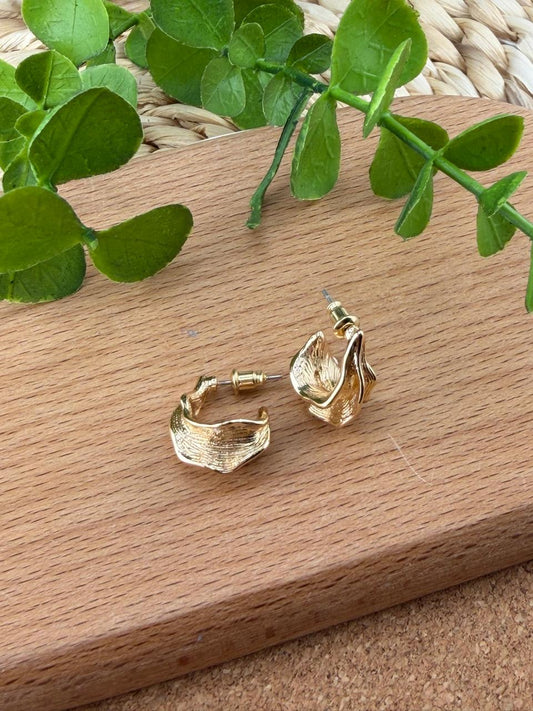 Stainless Steel Earrings #152
