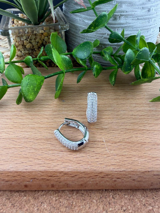 Stainless Steel Earrings #153