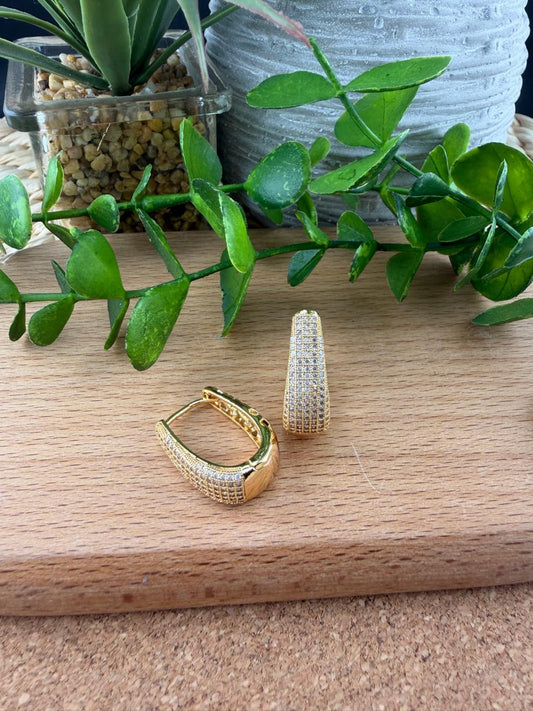 Stainless Steel Earrings #156