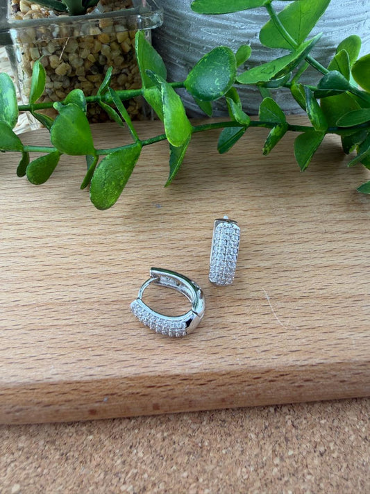 Stainless Steel Earrings #157