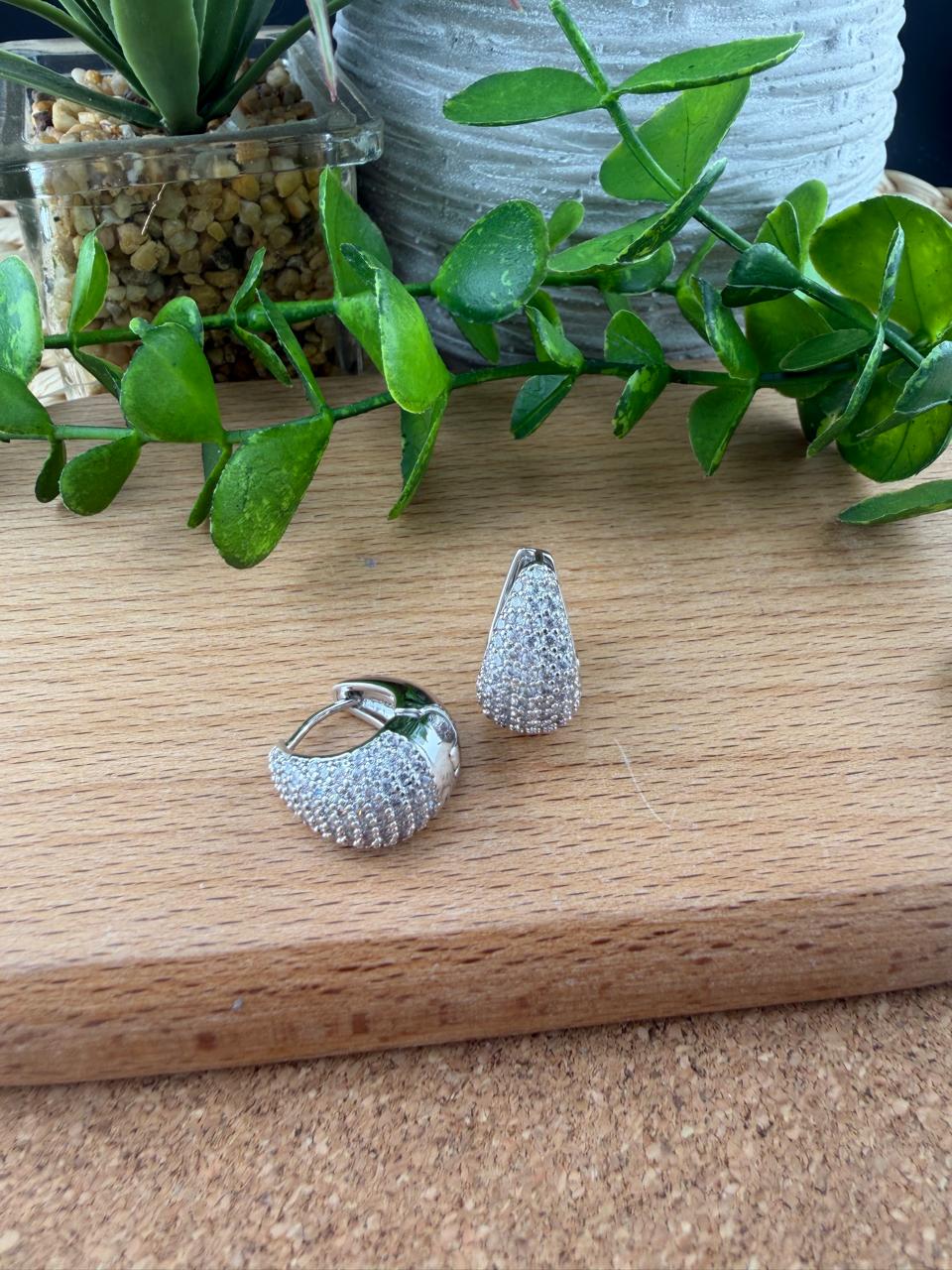 Stainless Steel Earrings #160