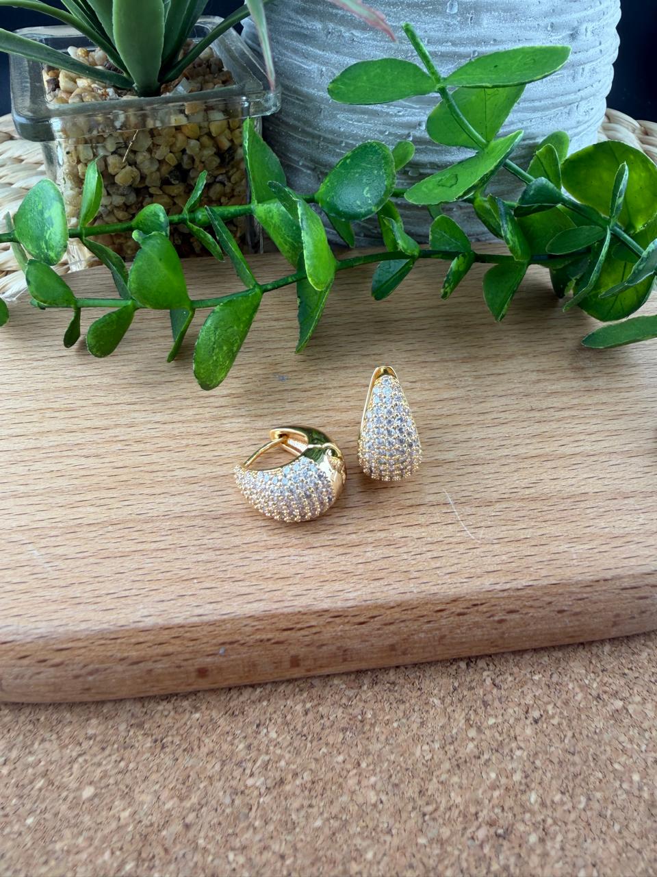 Stainless Steel Earrings #159