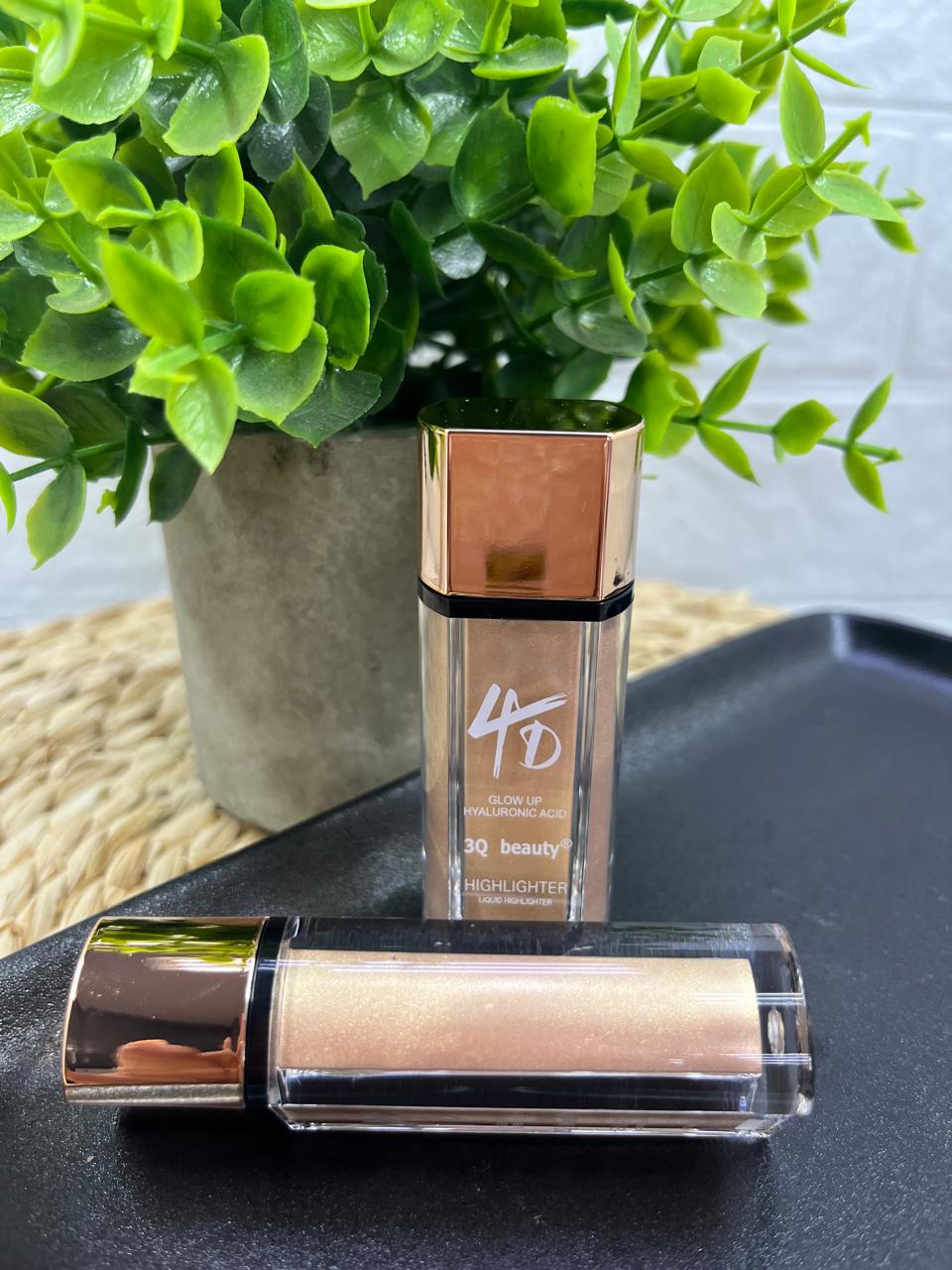 4D Highlighter