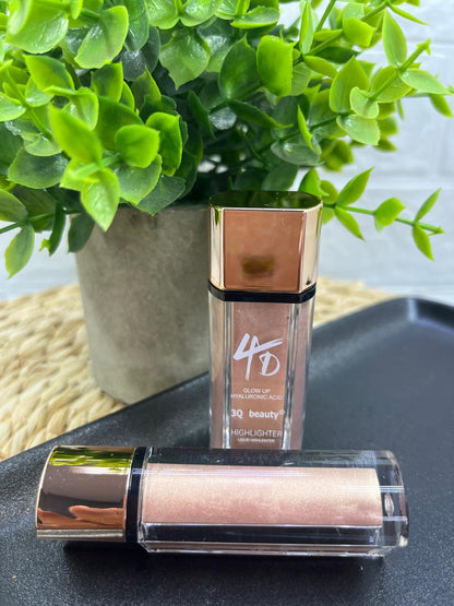 4D Highlighter