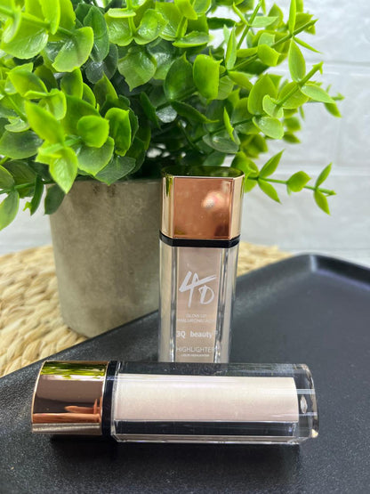 4D Highlighter